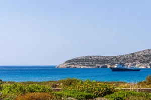 The sea view from the house